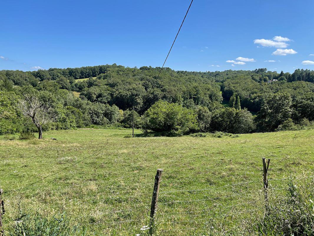 B&D France 449226 Dordogne (6).jpg