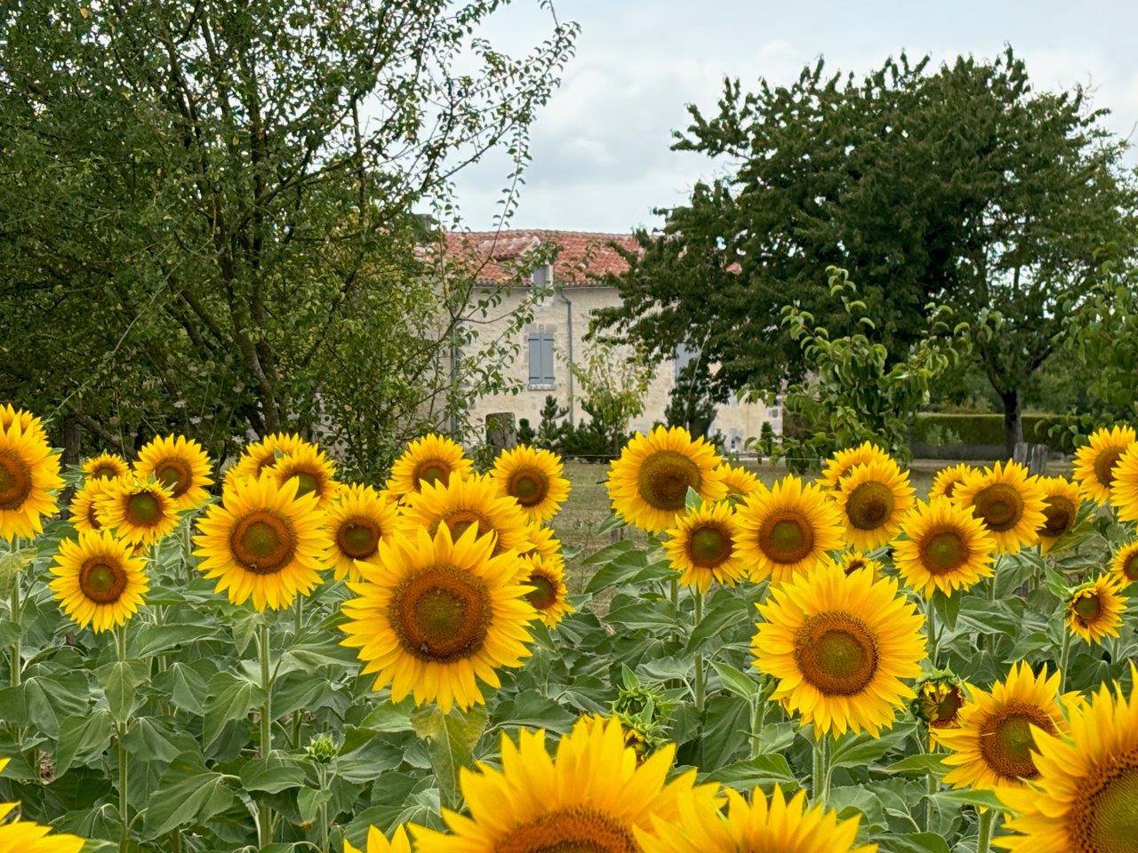 B&D France 6569 Dordogne (2).jpg
