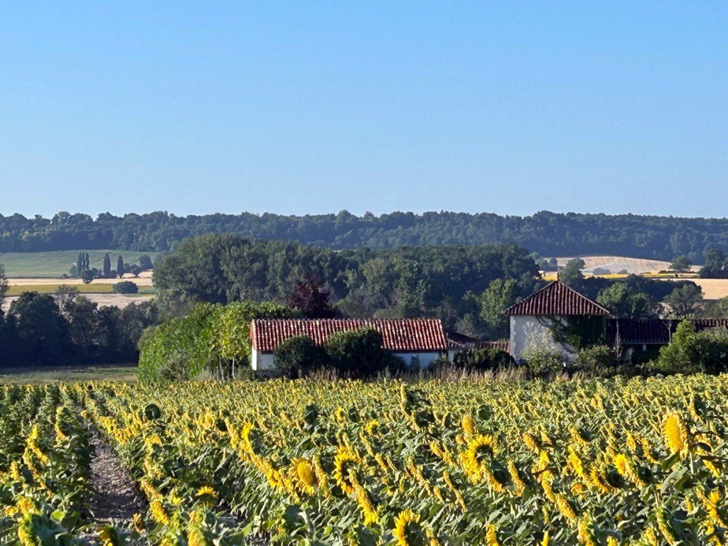 B&D France 6618 (2).jpg