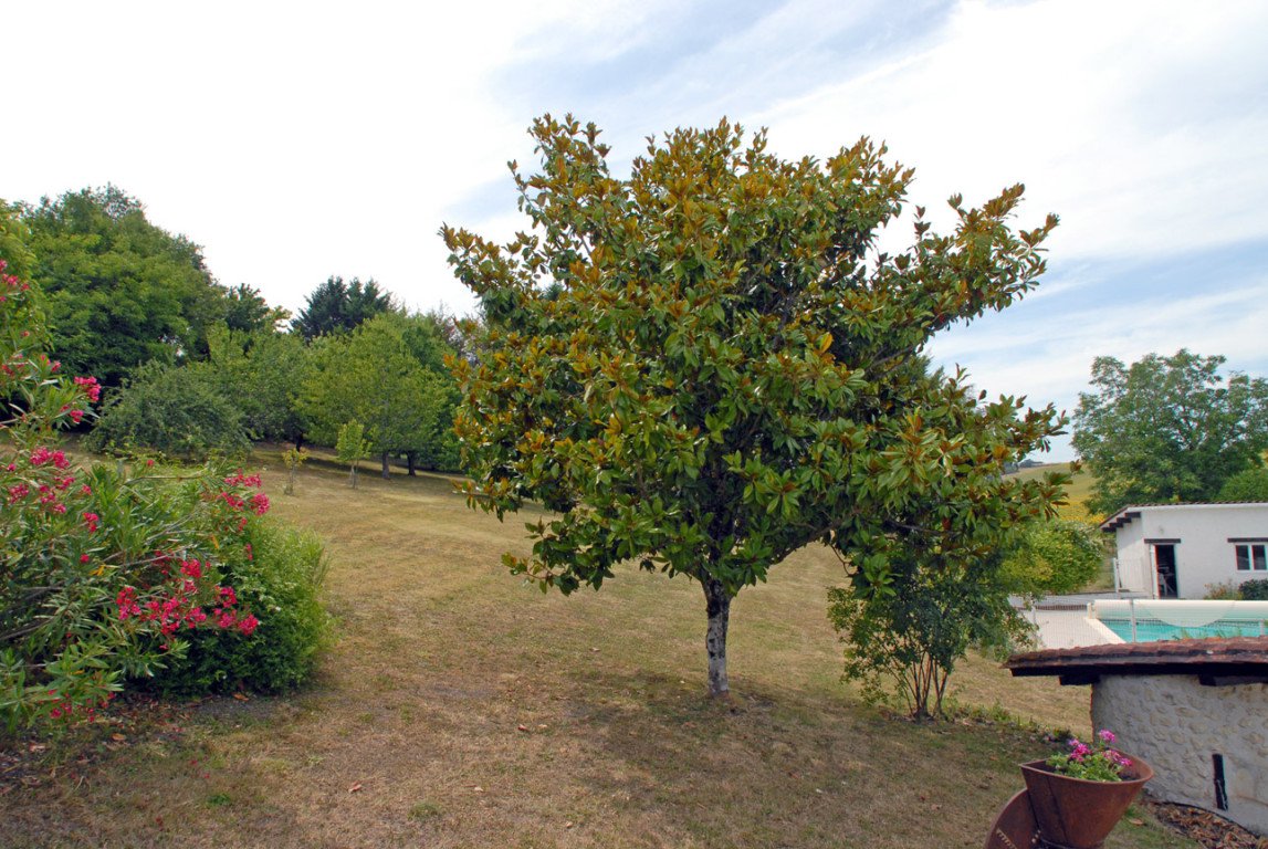 B&D France 6659 Dordogne (17).jpg