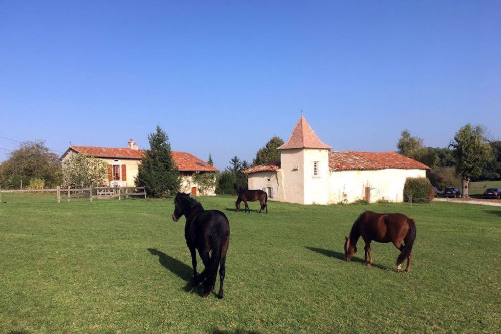 B&D France 6666 Dordogne (36).jpg