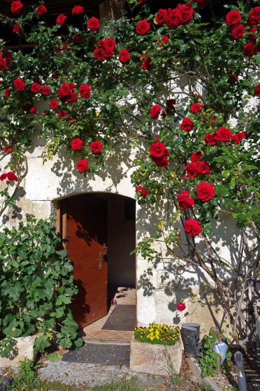 B&D France 6666 Dordogne (43).jpg