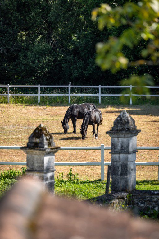 B&D France 6667 Dordogne (12).jpg