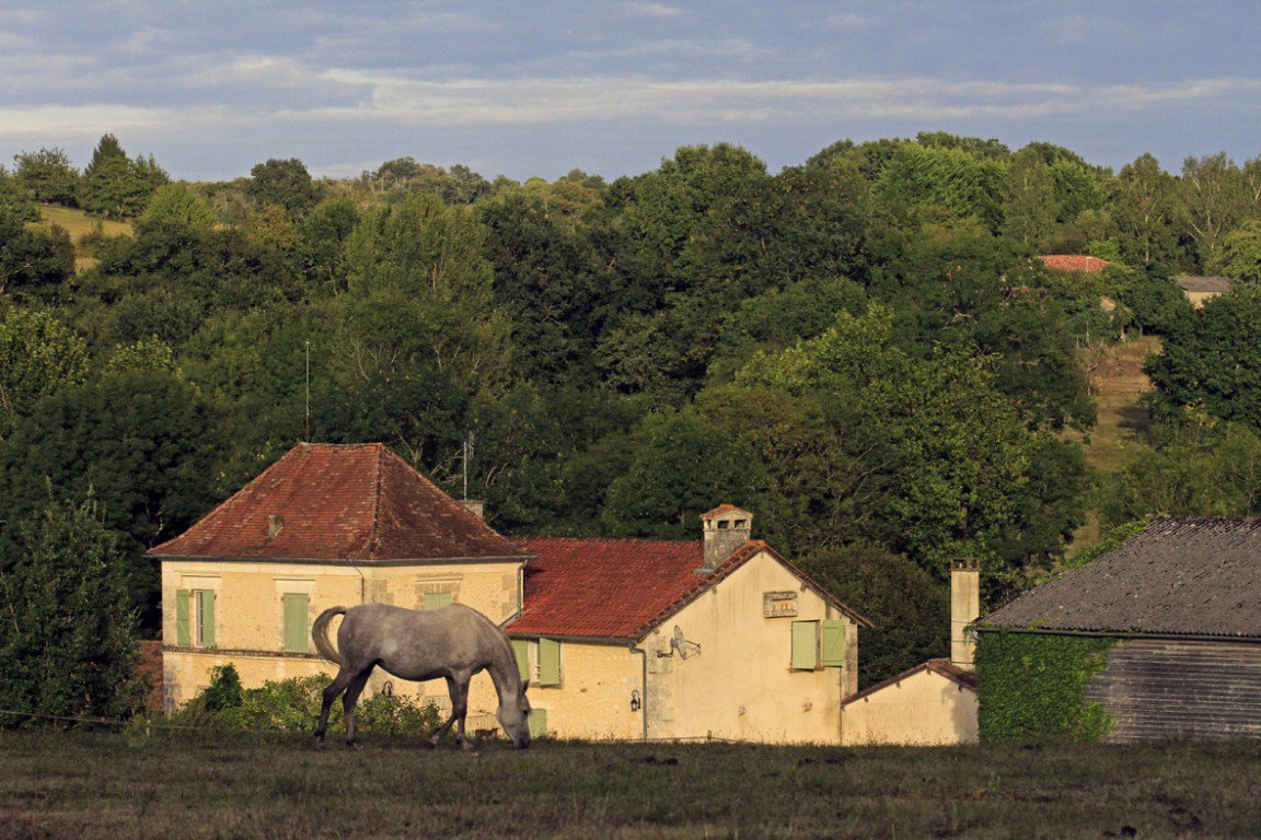 B&D France 6667 Dordogne (13).jpg