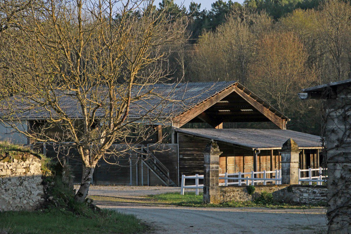 B&D France 6667 Dordogne (22).jpg