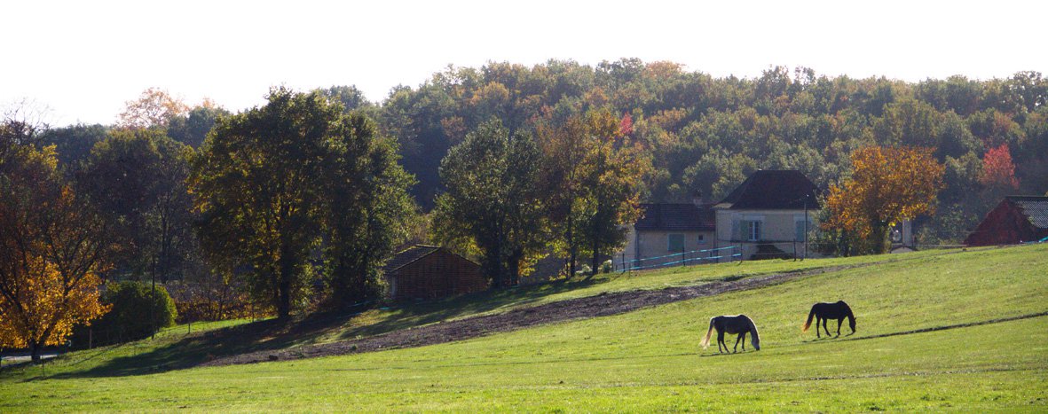 B&D France 6667 Dordogne (23).jpg