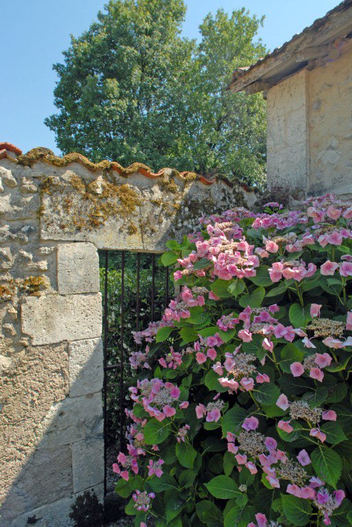 B&D France 6677 Dordogne (51).jpg