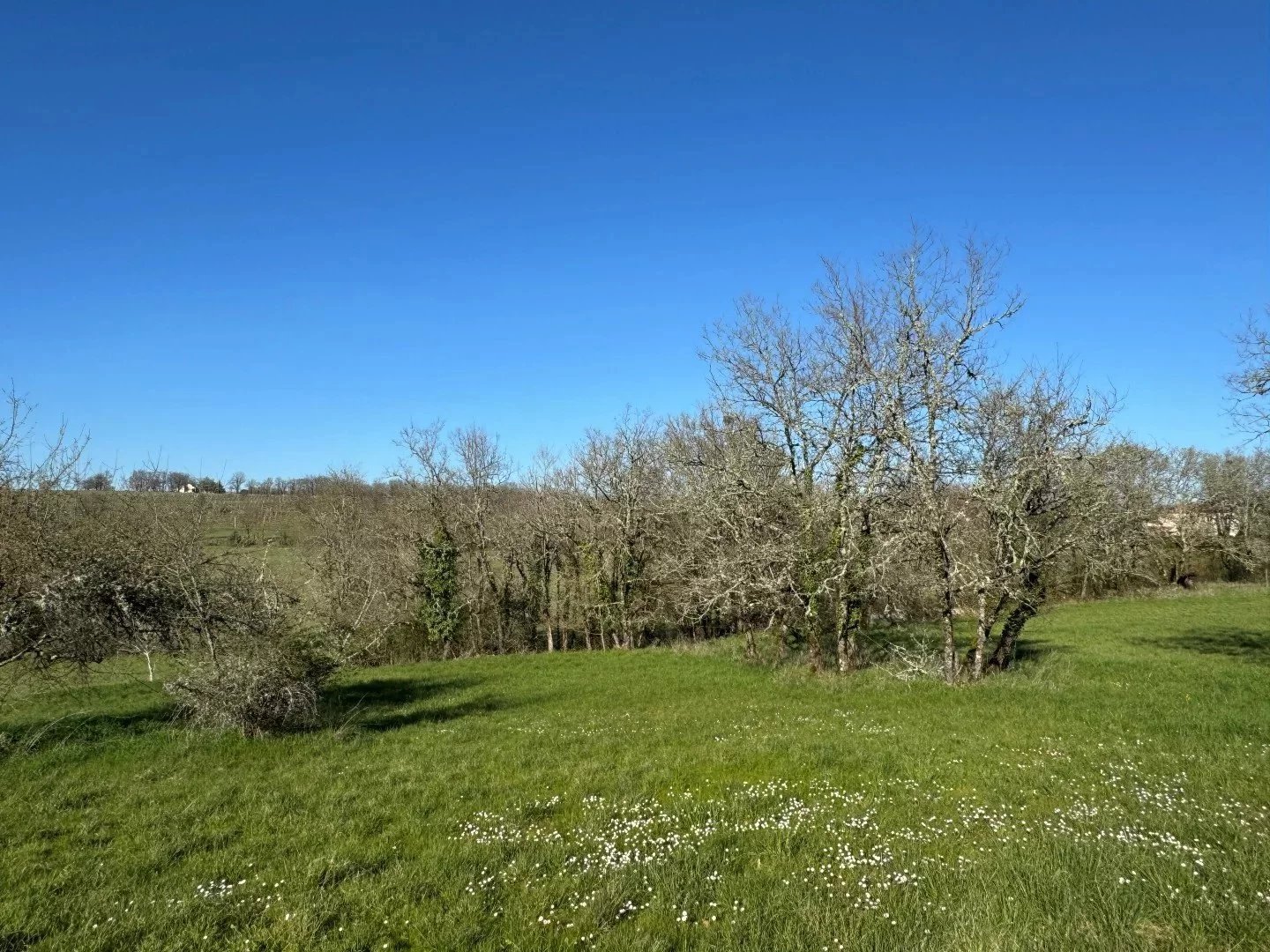 B&D France 86757963 Lot (2).jpg