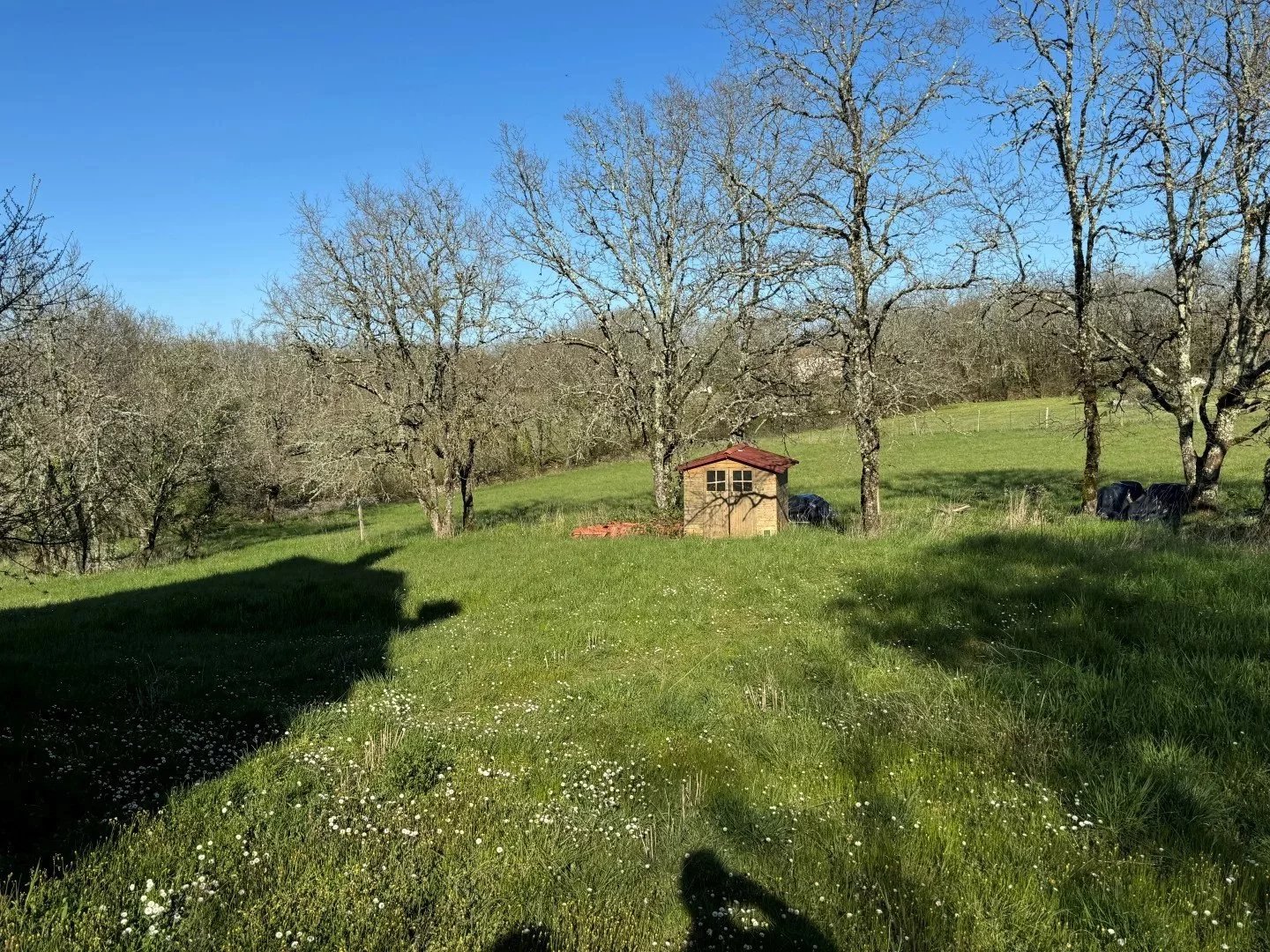 B&D France 86757963 Lot (9).jpg