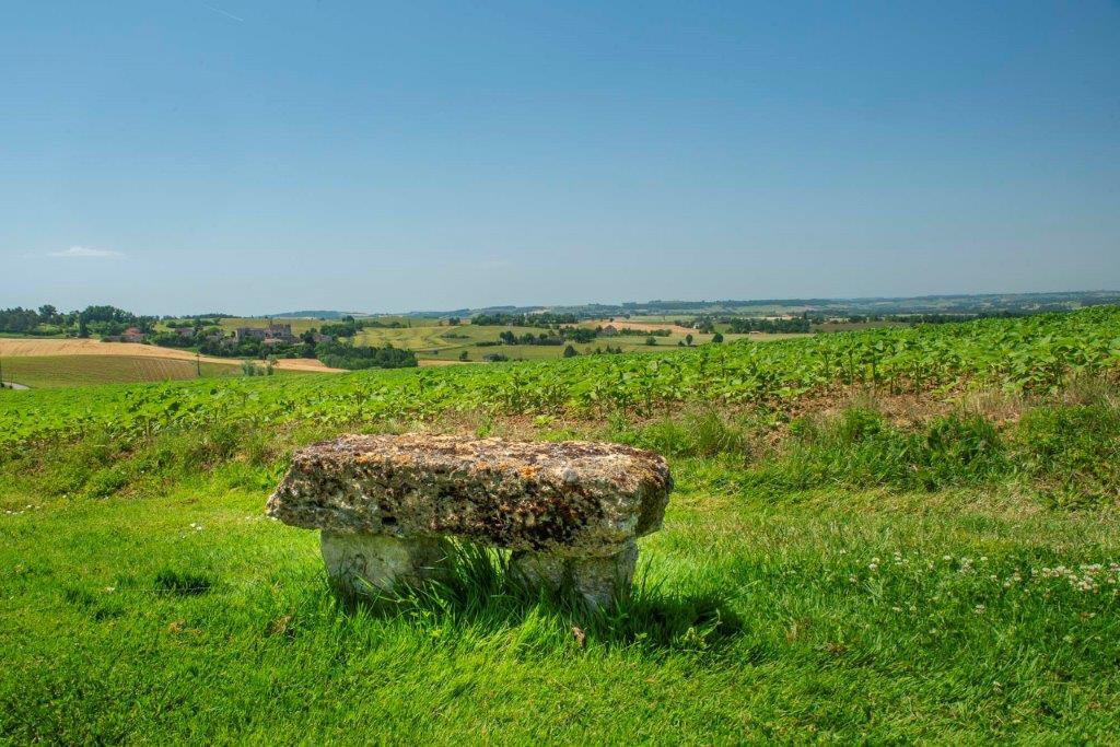 B&D France 88982 Gascogne (22).jpg