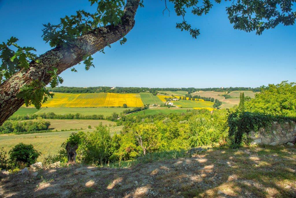 B&D France 91987 Gers (30).jpg