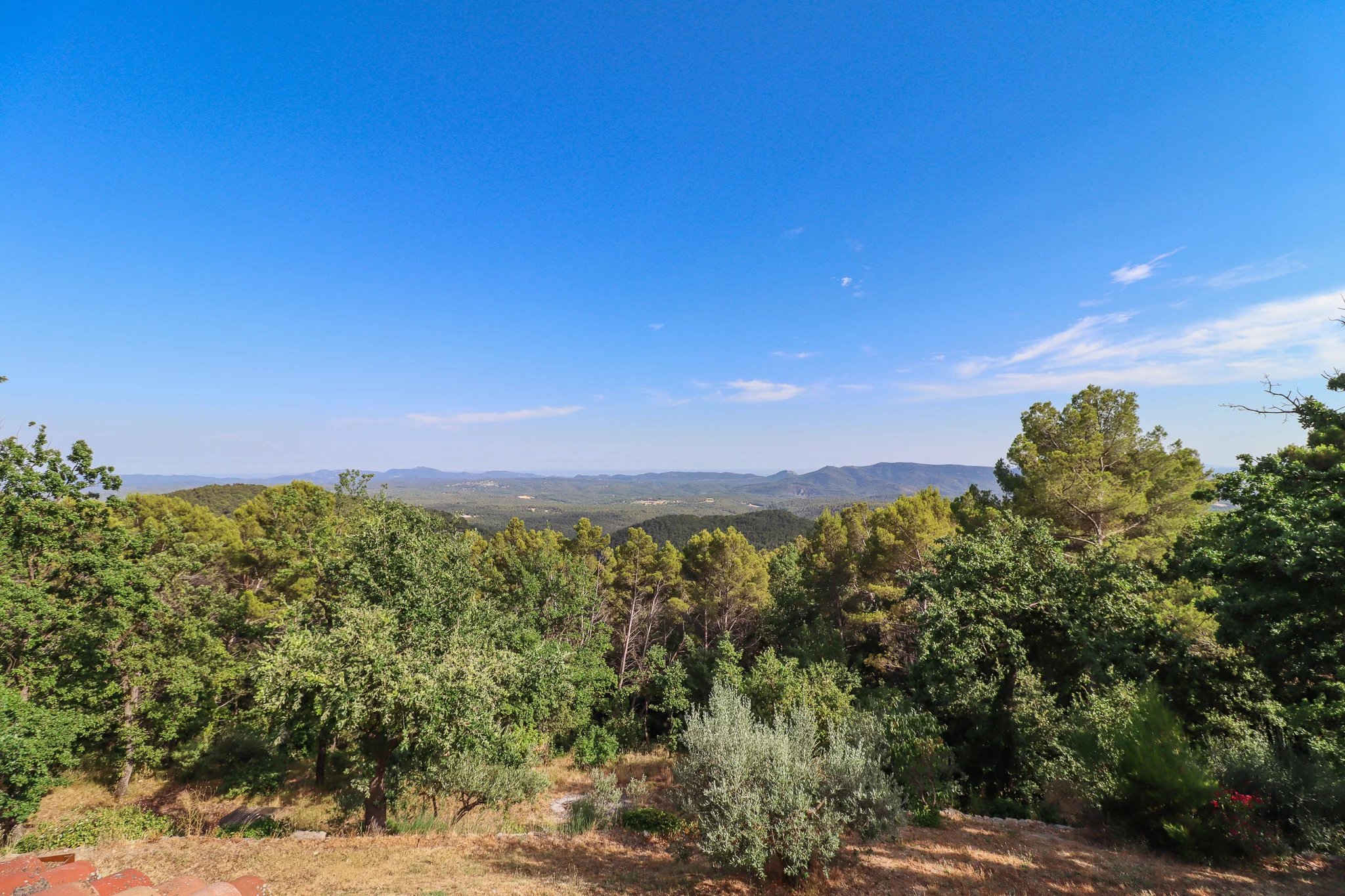 B&D France Provence 3416 (35).jpg