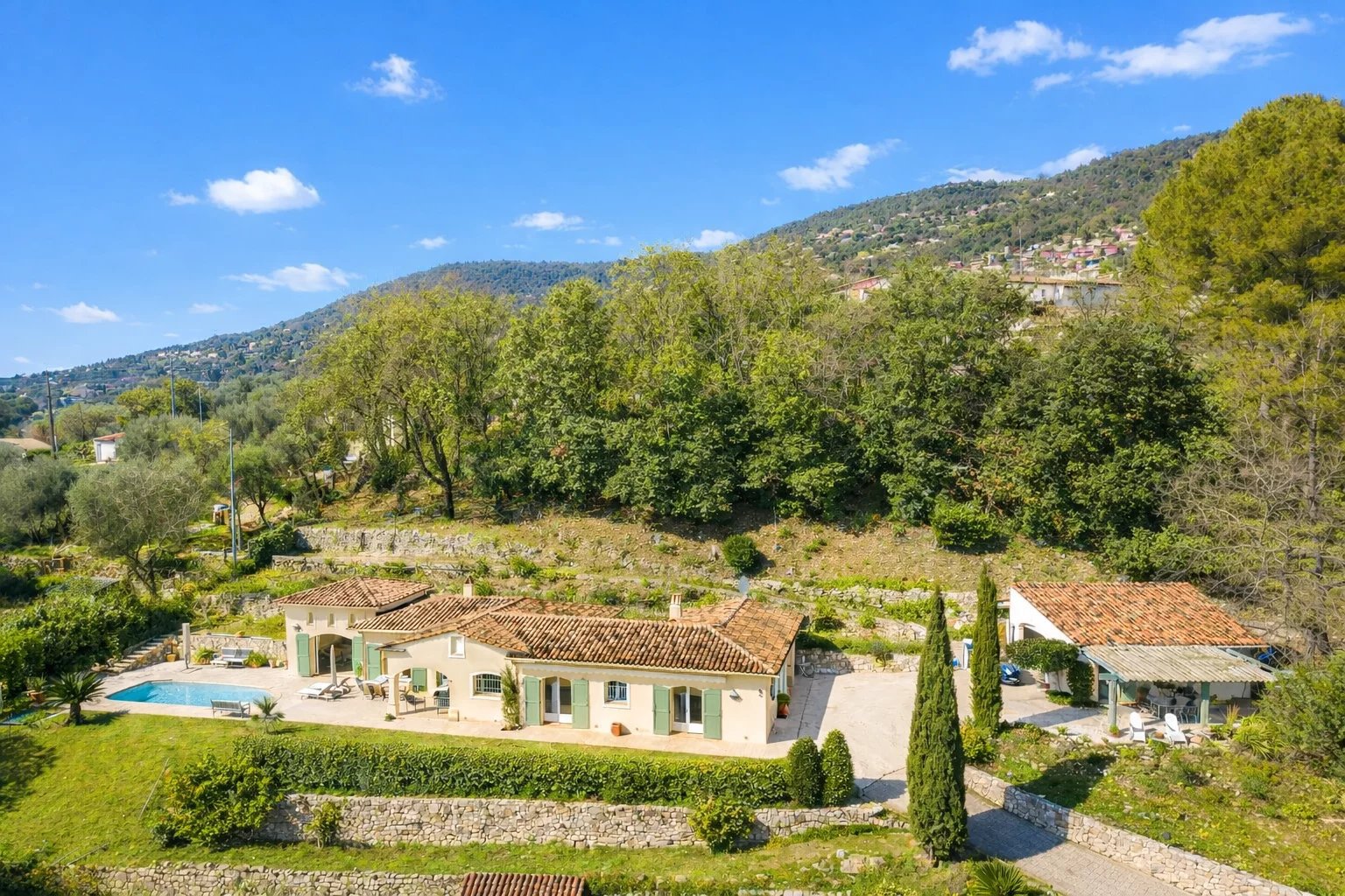 Picture-86829773-1 (1).jpg