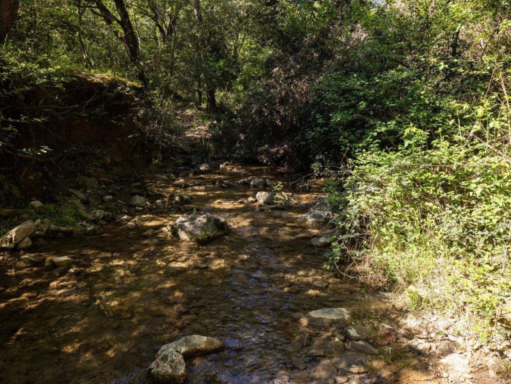 Picture-86831451-27.jpg