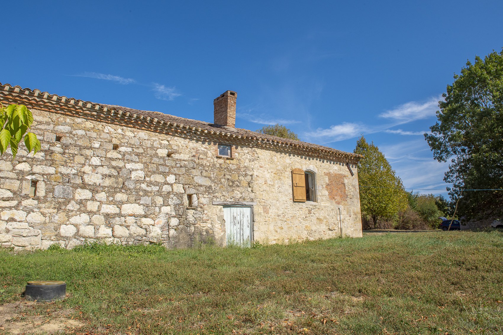 ref53725-30cm.jpg